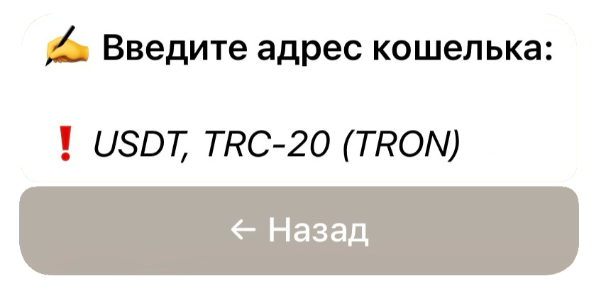 Этап ввода адреса кошелька или реквизитов для перевода